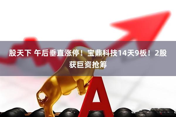 股天下 午后垂直涨停！宝鼎科技14天9板！2股获巨资抢筹