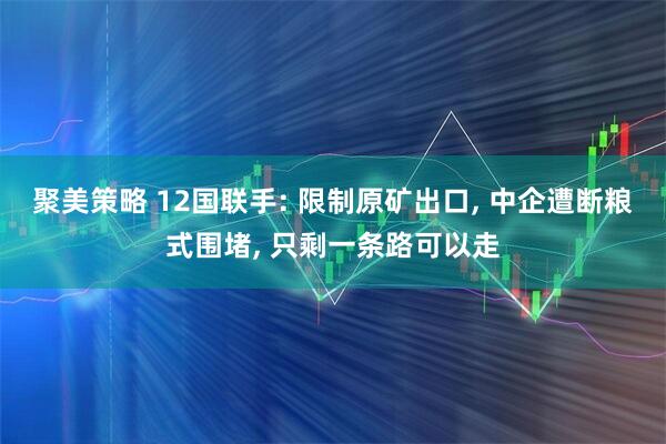 聚美策略 12国联手: 限制原矿出口, 中企遭断粮式围堵, 只剩一条路可以走
